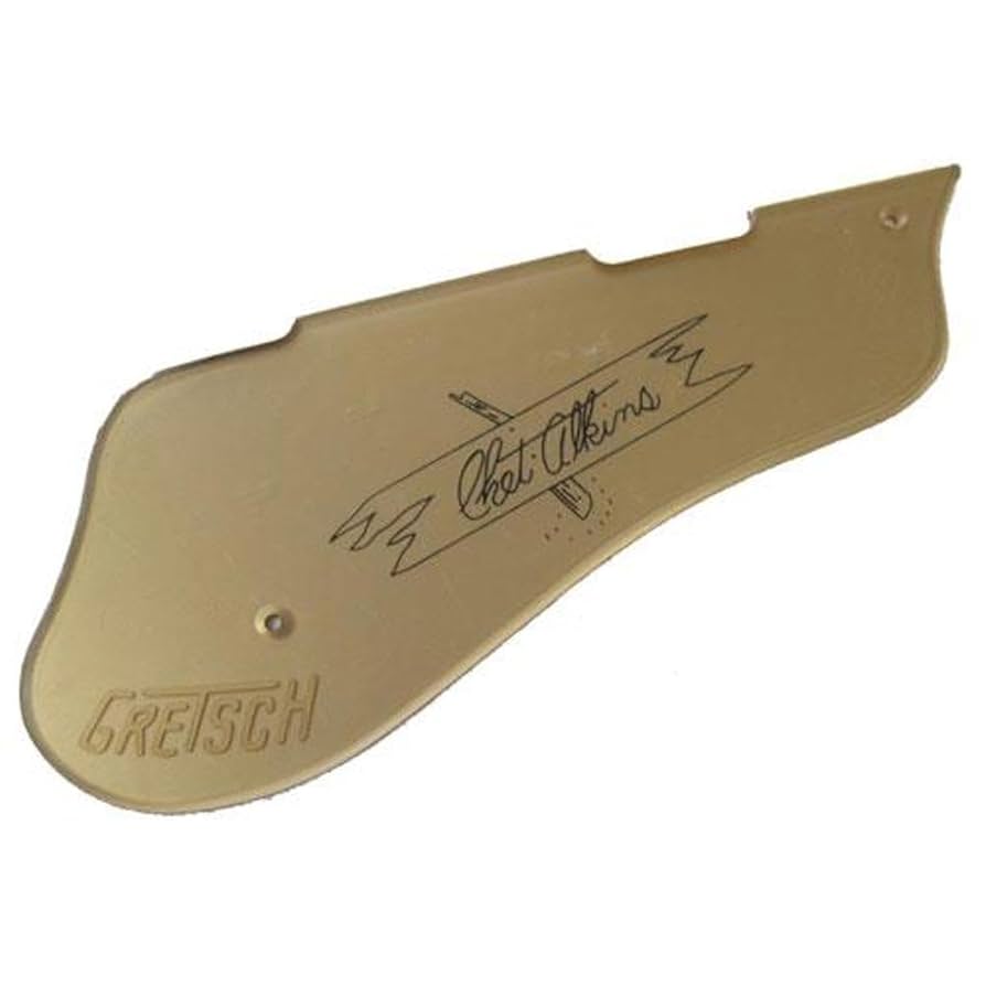 Amazon.com: Gretsch G6120 Chet Atkins Hollow Body Electric